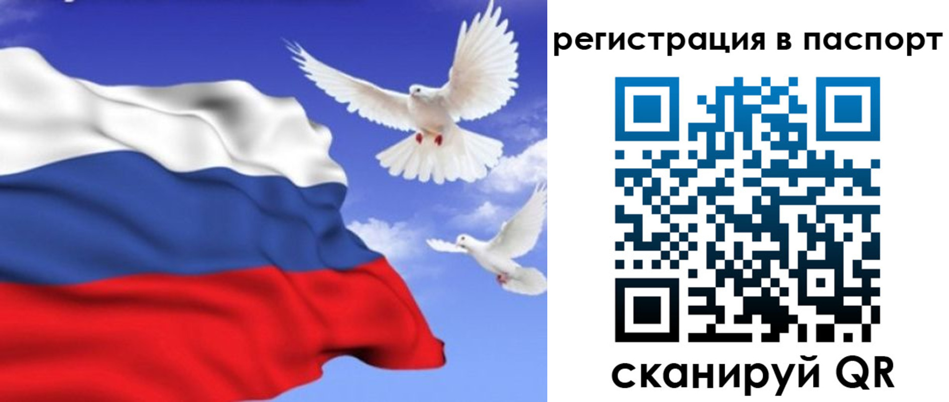 купить прописку в Озёрске